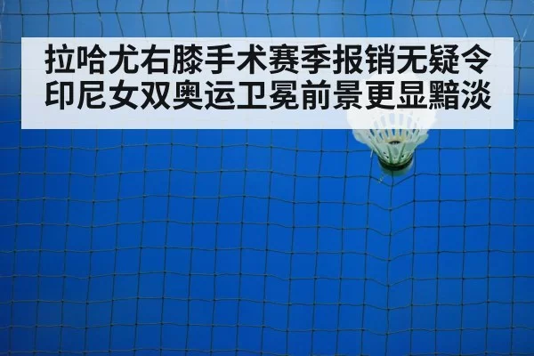 olympic badminton court